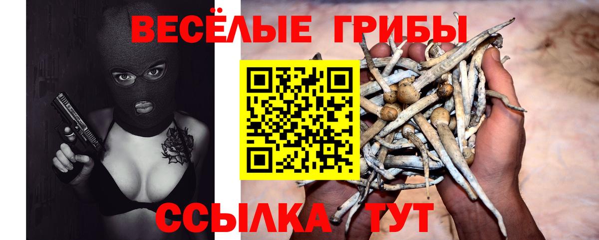 Псилоцибиновые грибы Magic Shrooms Асбест