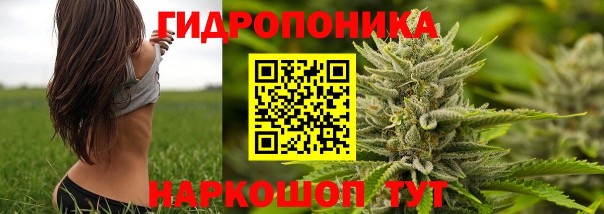 Шишки марихуана план  Шишки марихуана Ganja  Вход с VPN  Марихуана индика  Асбест  МАРИХУАНА VHQ 